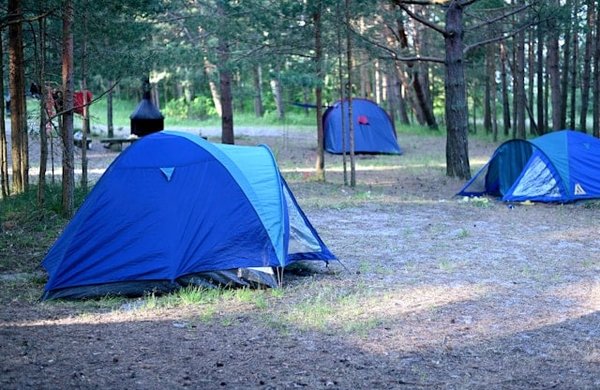 Techniques pour gérer efficacement les déchets en camping dans des écosystèmes fragiles ?